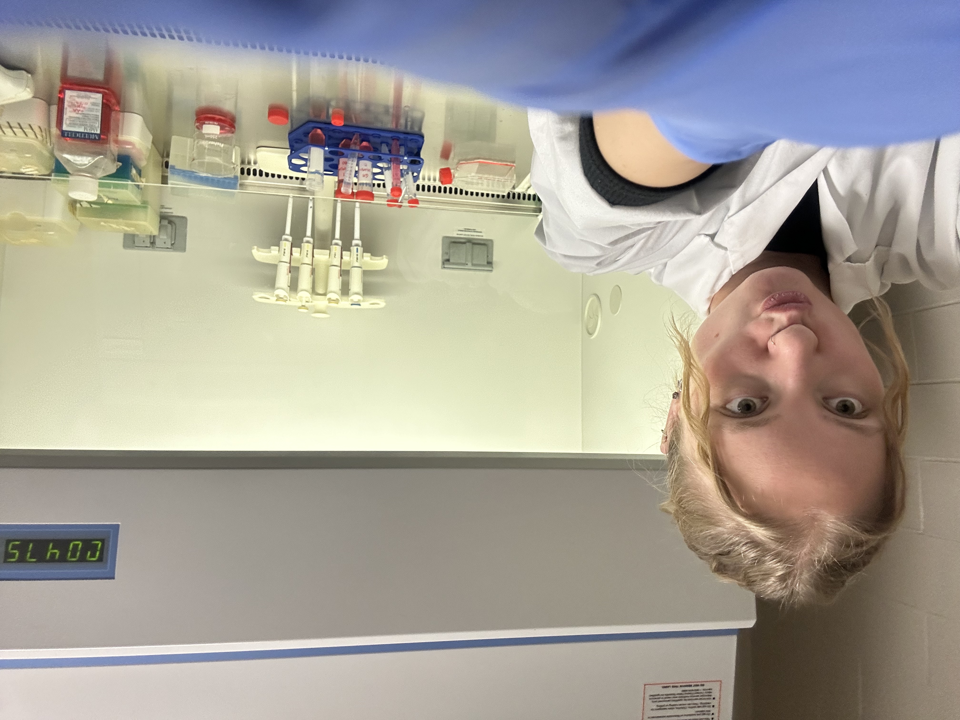 Belle in the lab